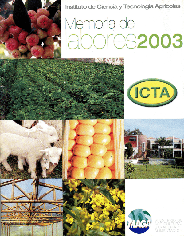 Memoria de Labores ICTA 2003